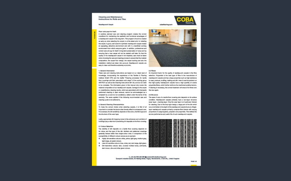 Needlepunch Cleaning Guide